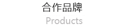 公司簡介